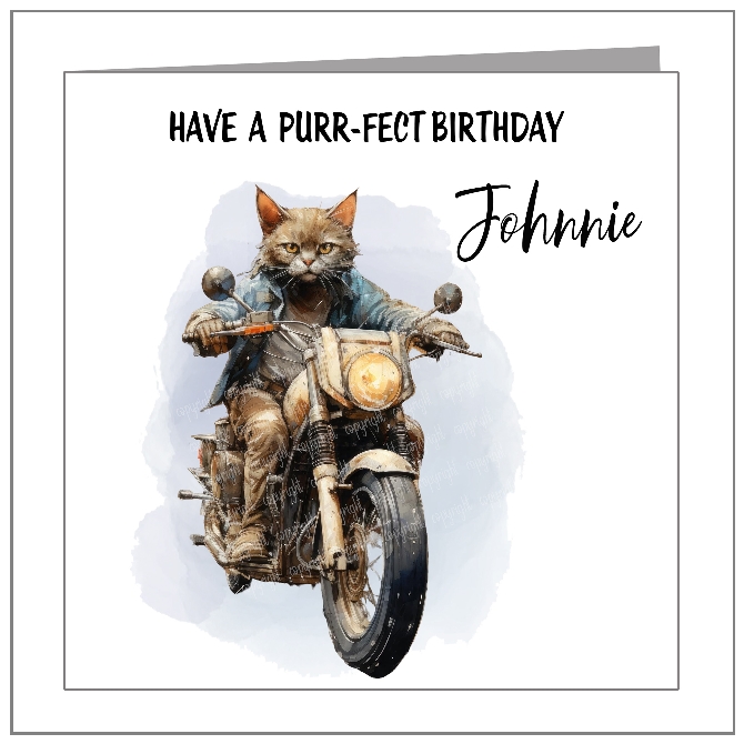 Purrfect Birthday
