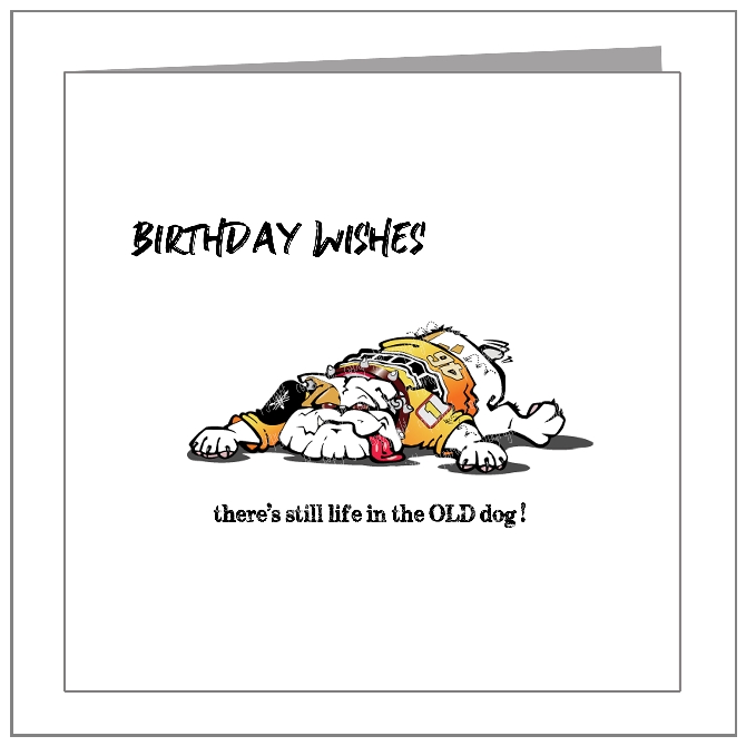 Still Life In The Old Dog - wholesale