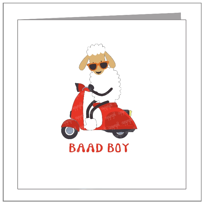 Baad Boy - wholesale