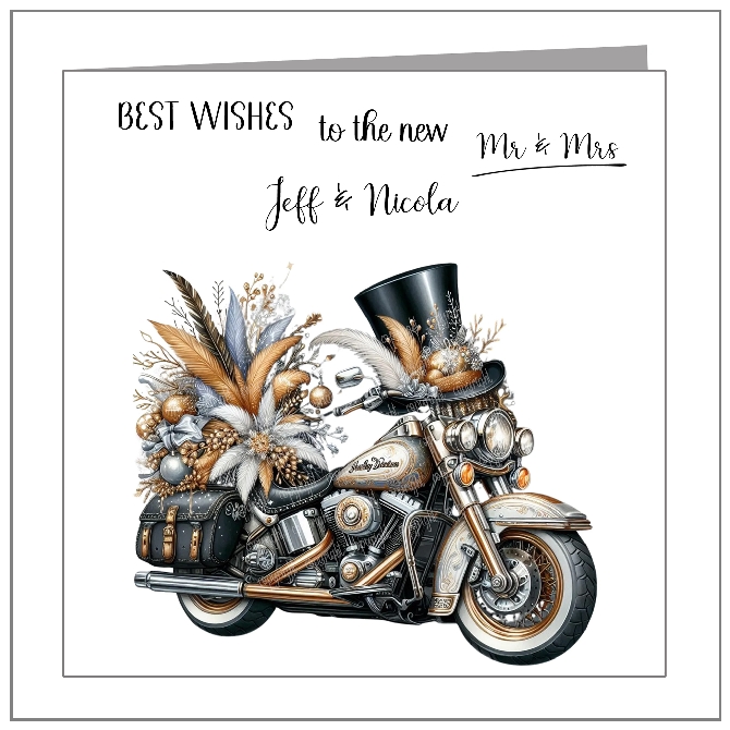 Harley - Silver & Gold Feathers