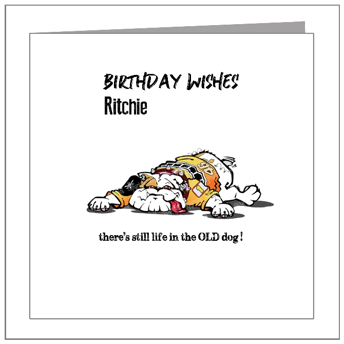 Still Life In The Old Dog