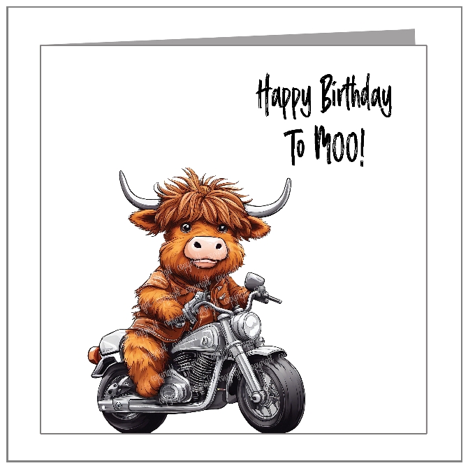 Highland Coo - wholesale