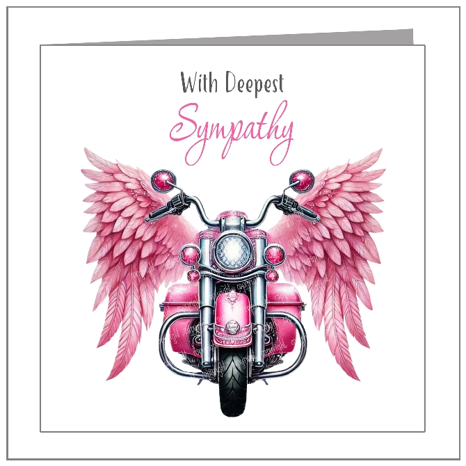 Pink Feather Bike - wholesale