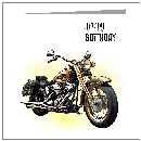 Harley - Golden Lights - wholesale