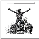 King Of The Roads - wholesale