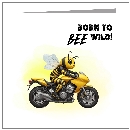 Born To Bee Wild