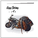 Harley - Biker Jacket