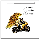 Golden Bike - wholesale