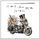 Harley - Silver & Gold Feathers