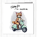 Puss In Boots - wholesale