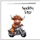 Highland Coo - wholesale